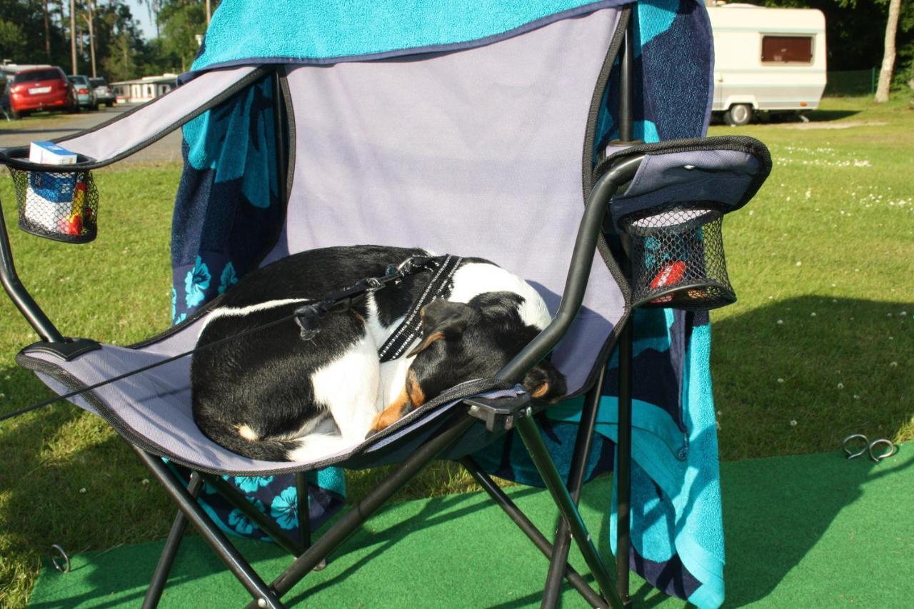 Bromoella Camping O Vandrarhem Dış mekan fotoğraf